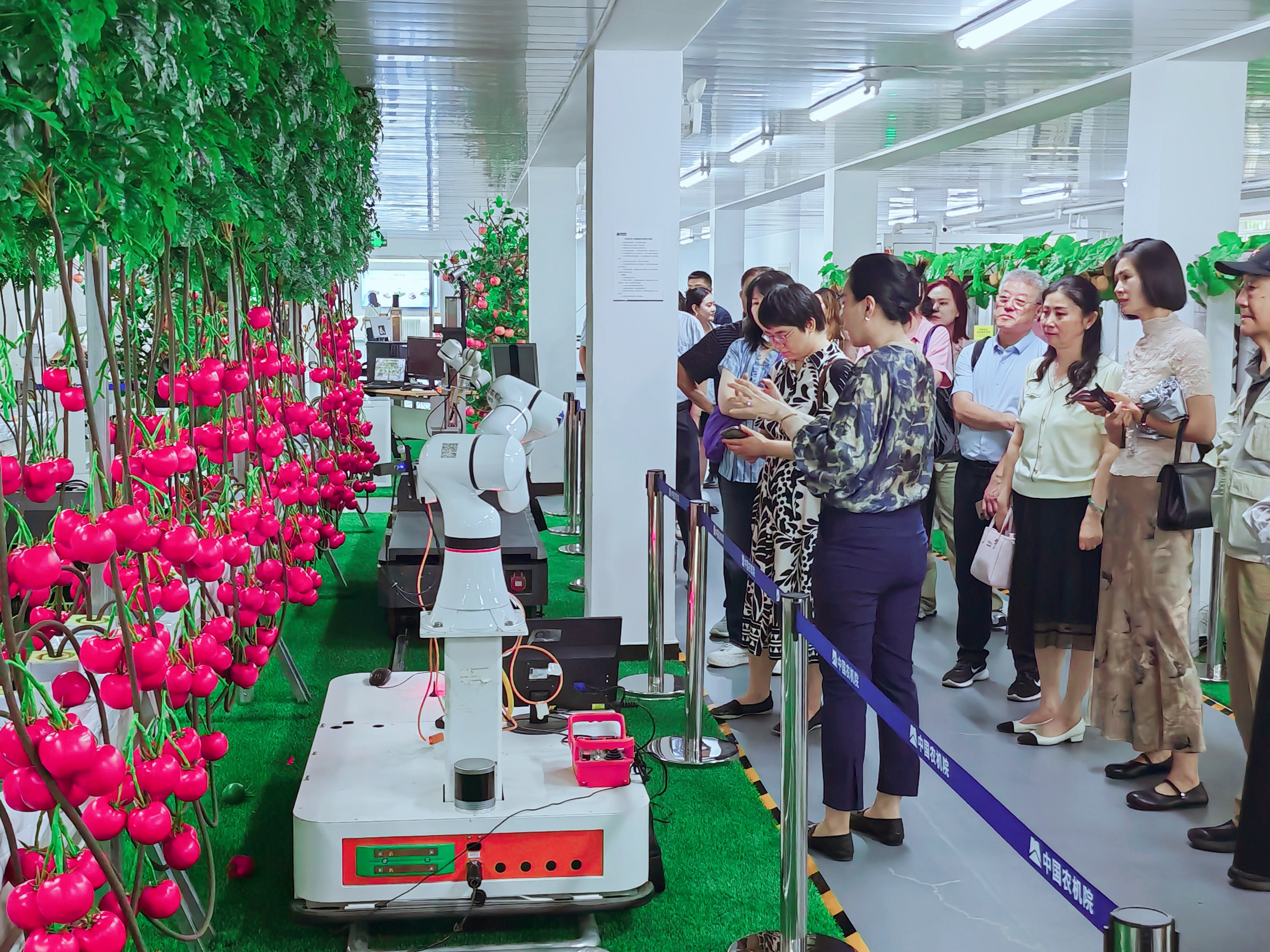 ������ʱ��(�й���)�������ǲ�!