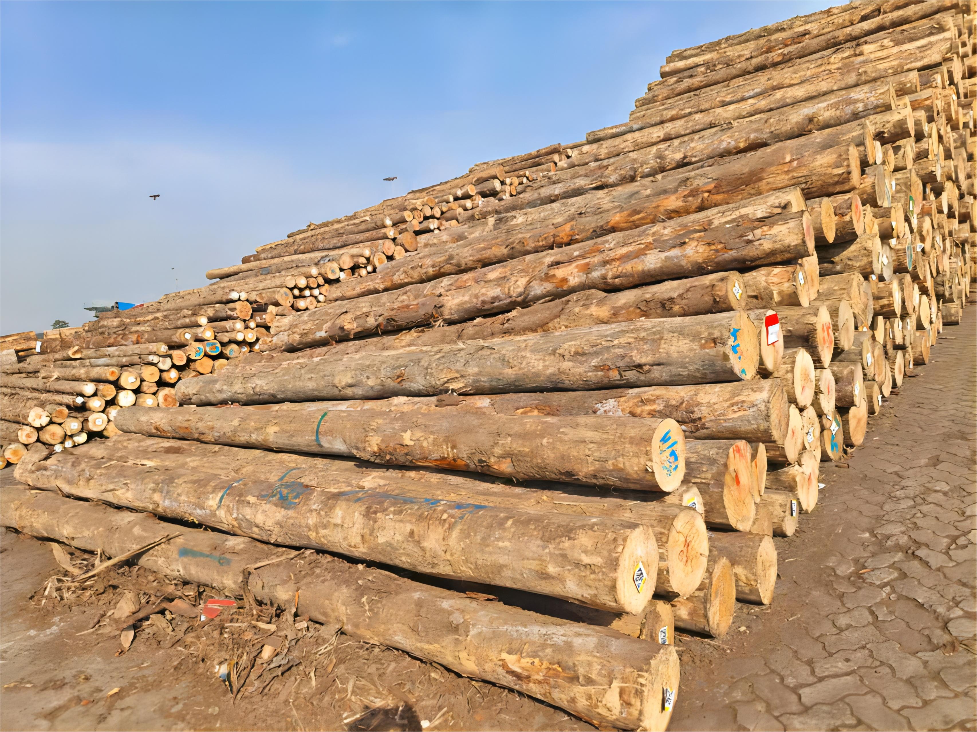 ×ðÁú¿Ê±¡¤(ÖйúÇø)ÈËÉú¾ÍÊDz«!