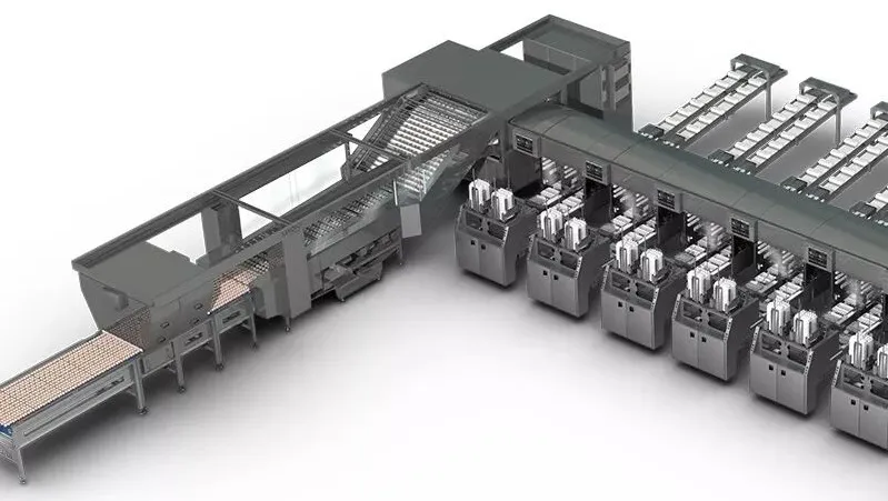 ������ʱ��(�й���)�������ǲ�!