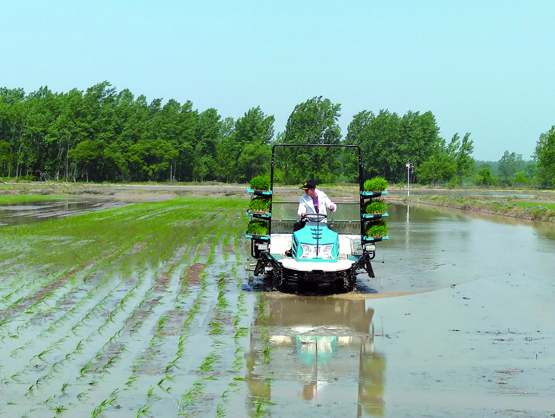 ������ʱ��(�й���)�������ǲ�!