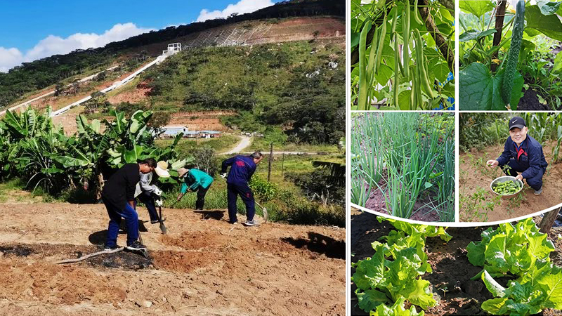 ������ʱ��(�й���)�������ǲ�!